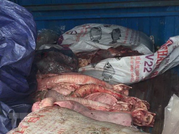 Hưng Yên tiêu hủy 1,5 tấn lòng lợn hôi thối, không nguồn gốc