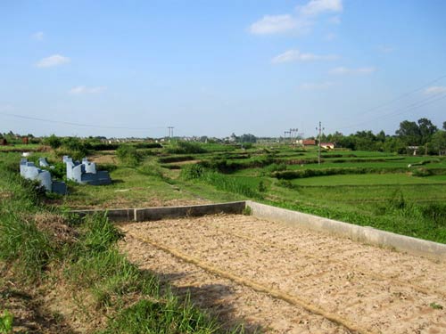Thực hư sốt "đất thiêng" ở Đường Lâm 