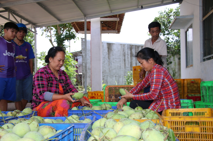 Hơn 100 món bánh dân gian Nam Bộ trong lễ hội ở Cần Thơ