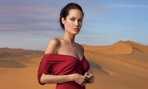 Angelina Jolie thành lập nhãn hiệu thời trang riêng