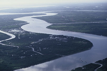 Ra mắt diễn đàn bảo tồn Đồng bằng sông Cửu long 