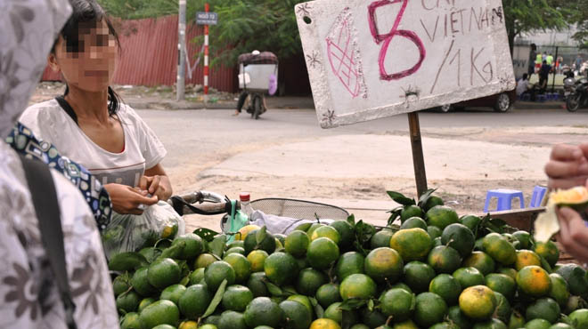 Cam Trung Quốc “đội lốt” Hà Giang