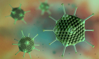 Adenovirus - nghi phạm gây viêm gan bí ẩn