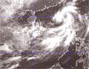 Áp thấp nhiệt đới xuất hiện ở biển Đông 