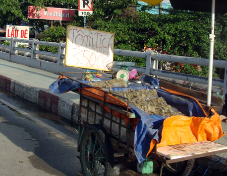 Bẫy lừa kích cầu, giảm giá