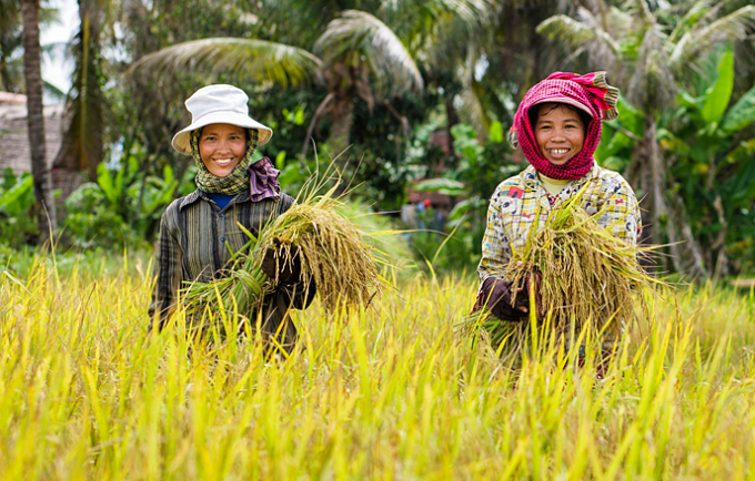 Việt Nam 'thầu' phần lớn nông sản Campuchia xuất khẩu