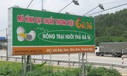 Chuỗi nhà hàng bạc tỷ của chàng trai quê lúa