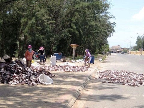 Cá, mực khô: Thấy làm, hết dám ăn