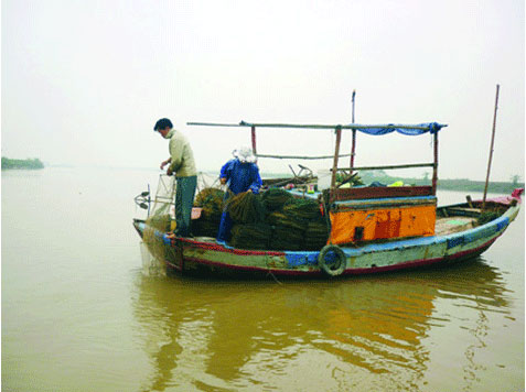 Săn cà ra trên sông Kinh Thầy