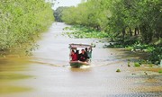 Thuyền chạy bằng năng lượng mặt trời của bốn 'lão khùng'