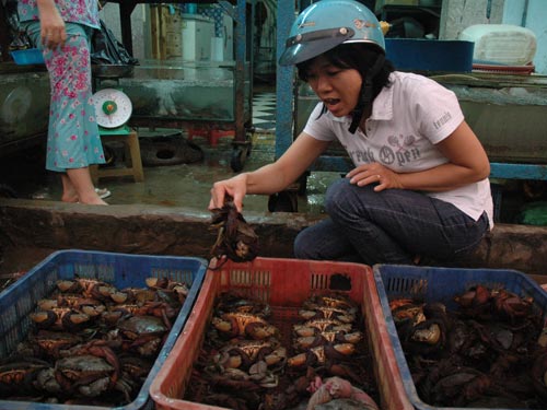 Món ăn trị đau đầu