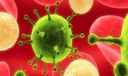 Siêu kháng thể tiêu diệt 99% chủng virus HIV