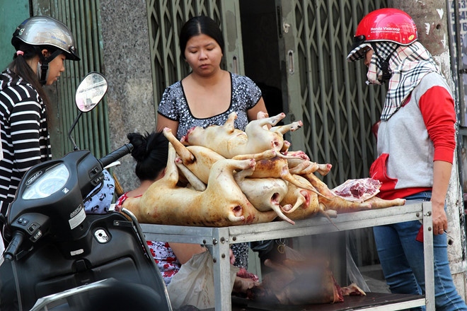 Sự biến mất lặng lẽ của các chợ thịt chó ở Sài Gòn