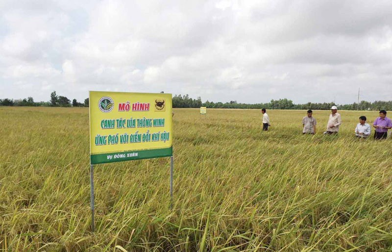 Bài 2: Đồng bằng sông Cửu Long: Phát triển kinh tế nông nghiệp thích ứng với biến đổi khí hậu