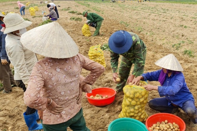 6 năm Orion theo đuổi dự án 'Khoai tây quê hương'