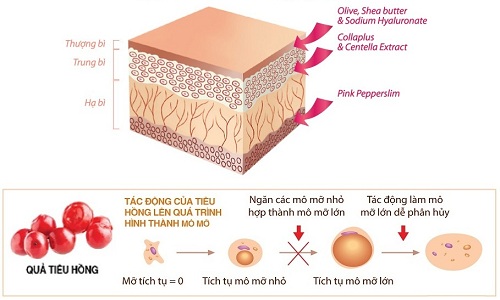 Bí quyết săn chắc và làm mờ rạn da sau sinh