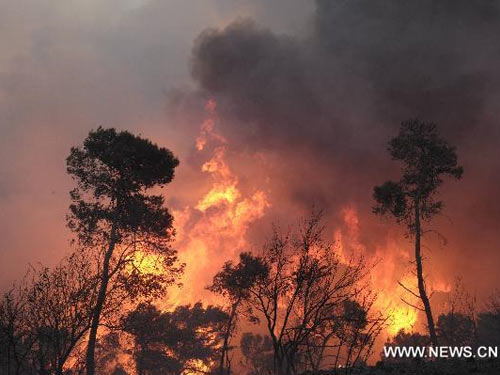 Israel: Bão lửa hung hãn nhất lịch sử thiêu chết 40 người