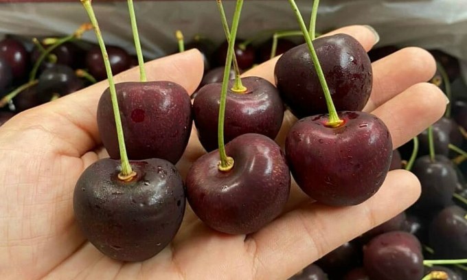 Cherry ngoại ồ ạt vào TP HCM với giá rẻ