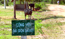 Củ Chi, Hóc Môn - vùng đất 'nhiều dự án treo'