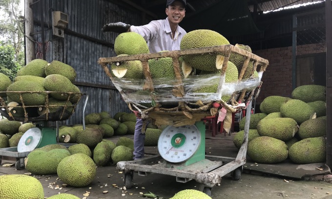 Rau quả xuất sang Trung Quốc giảm mạnh