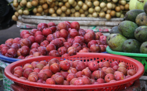 Mận Trung Quốc ồ ạt về chợ