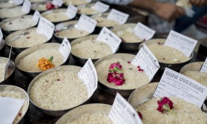 Sản lượng gạo Việt Nam ra sao trong những năm El Nino?