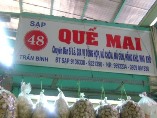 QUẾ MAI