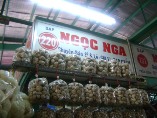 NGỌC NGA